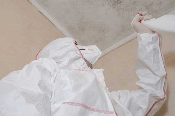 Best Bathroom Mold Remediation in Salina, UT